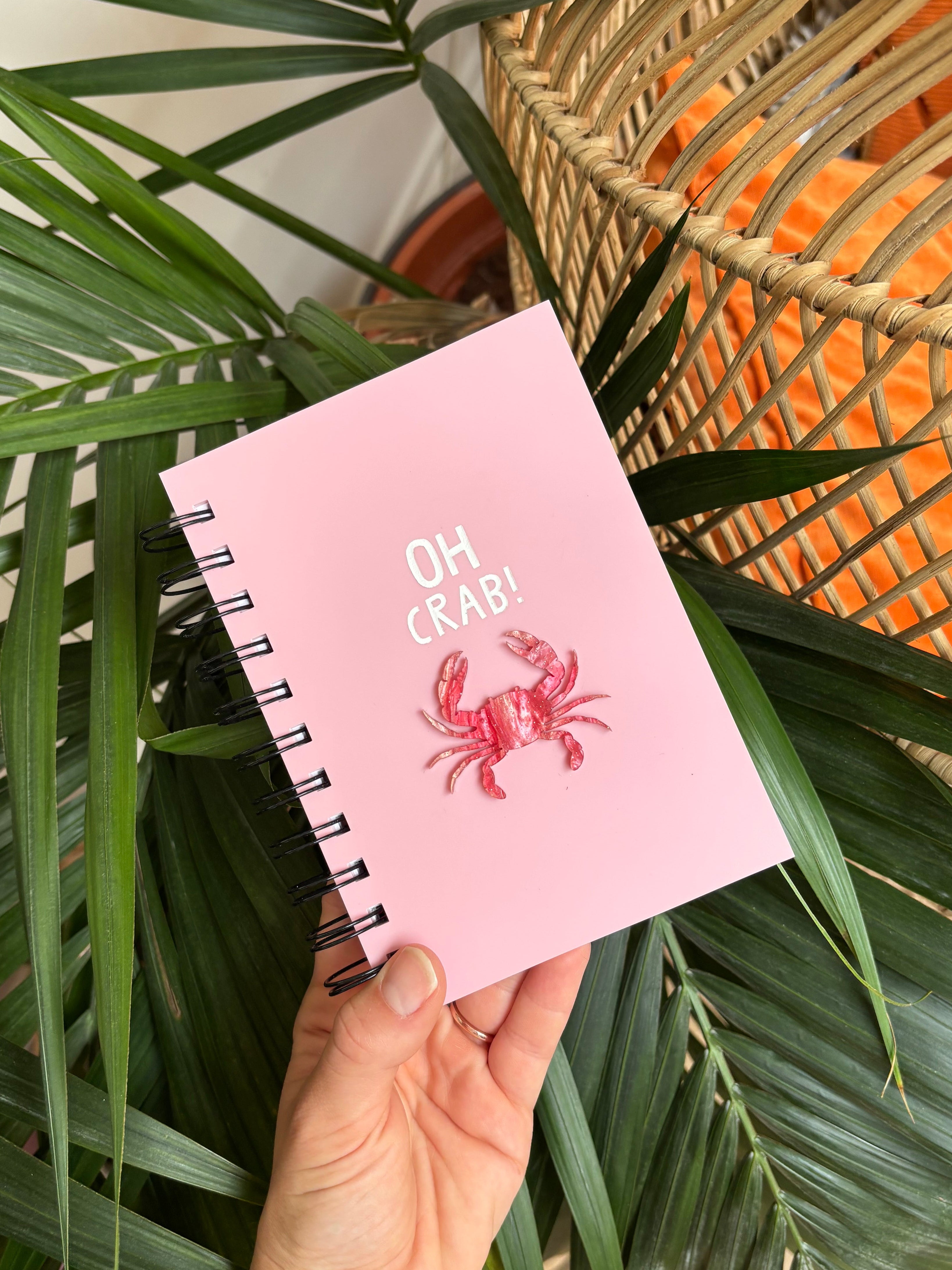 Oh Crab! Small Acrylic Notebook